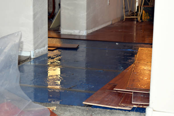 Professional Water Extraction technician working in Elsie, MI